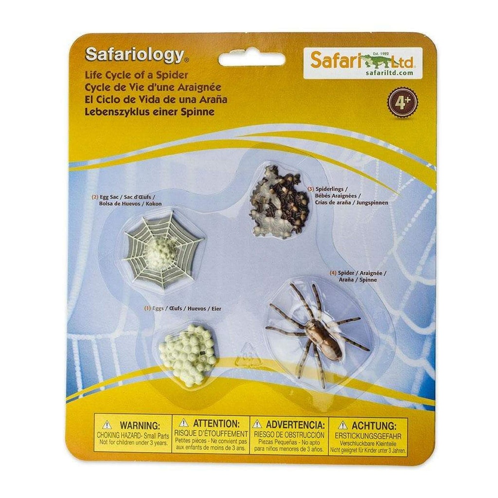 safari-ltd-life-cycle-of-a-spider-my-toy-shop
