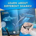 National Geographic Shark Dig Kit