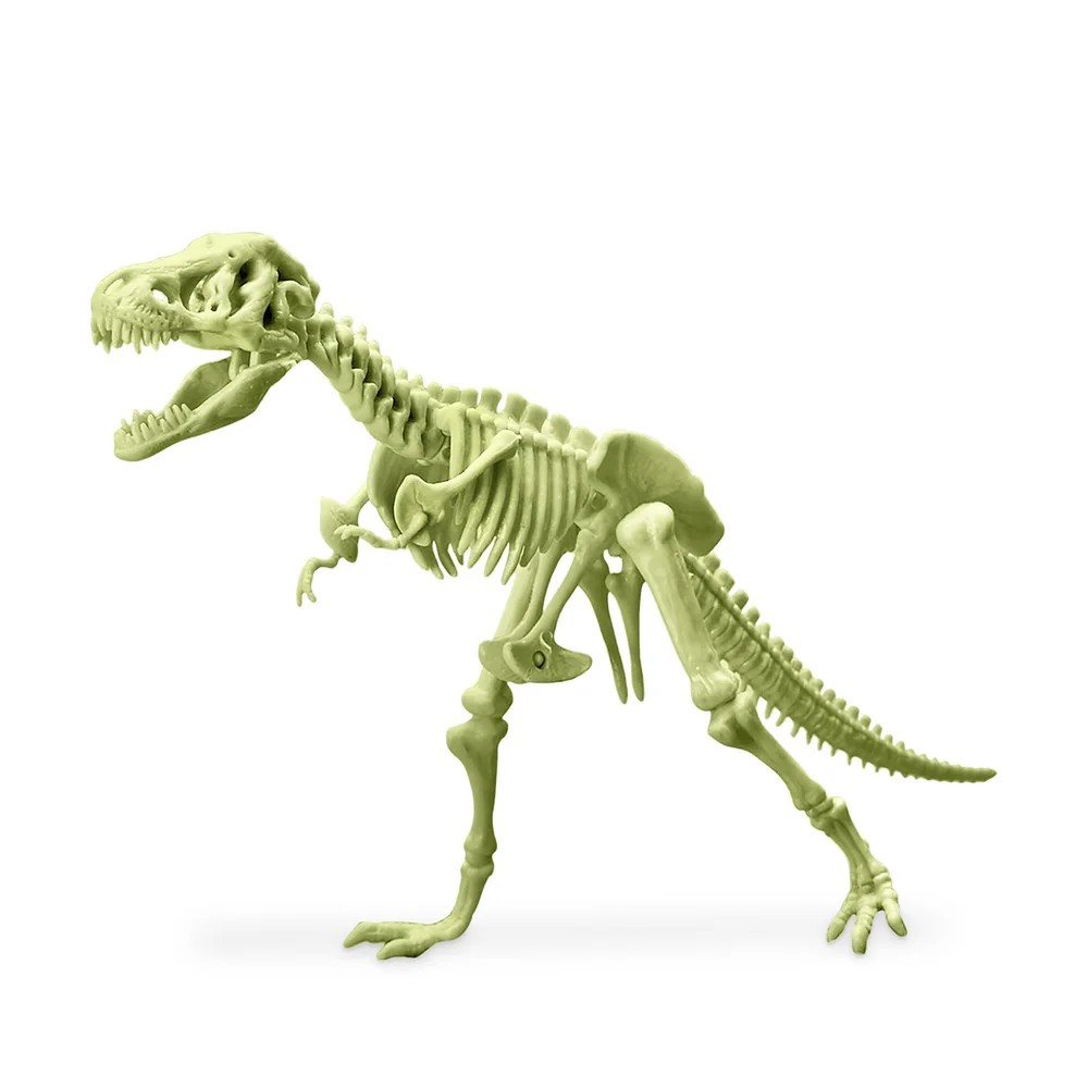 4M Glow Trex Skeleton