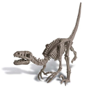 4M Dig a Dinosaur Skeleton Velociraptor