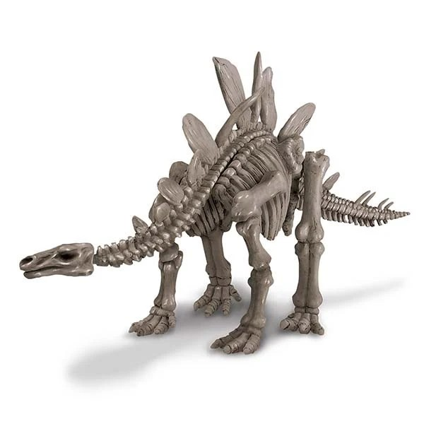 4M Dig a Dinosaur Skeleton Stegosaurus Kit