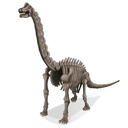 4M Dig A Dino Skeleton Brachiosaurus