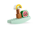 Duplo 10983 Organic Market