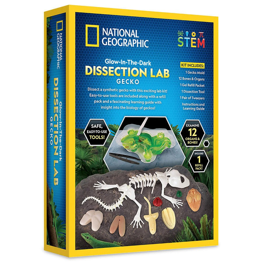 National Geographic Gecko Dissection Lab