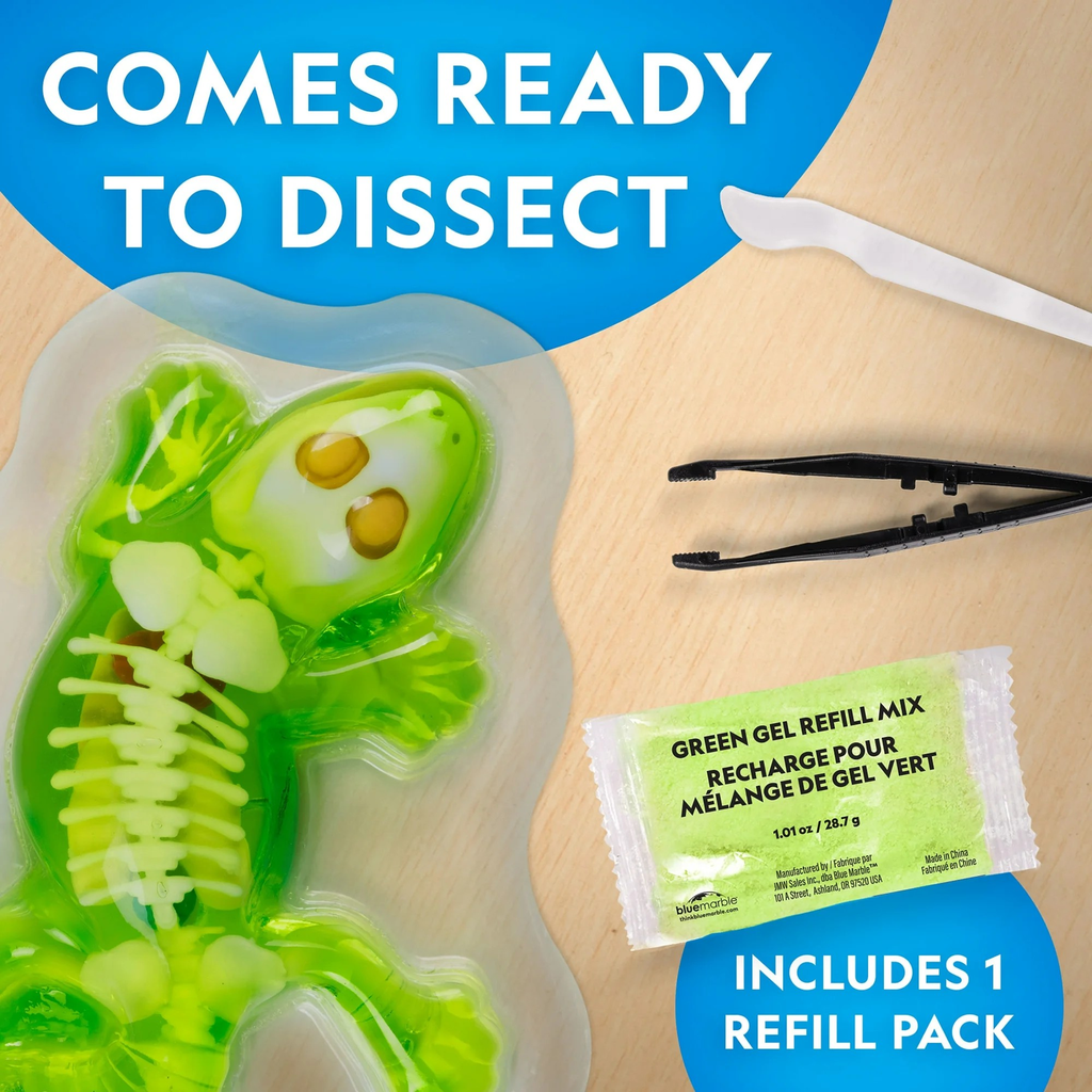 National Geographic Gecko Dissection Lab