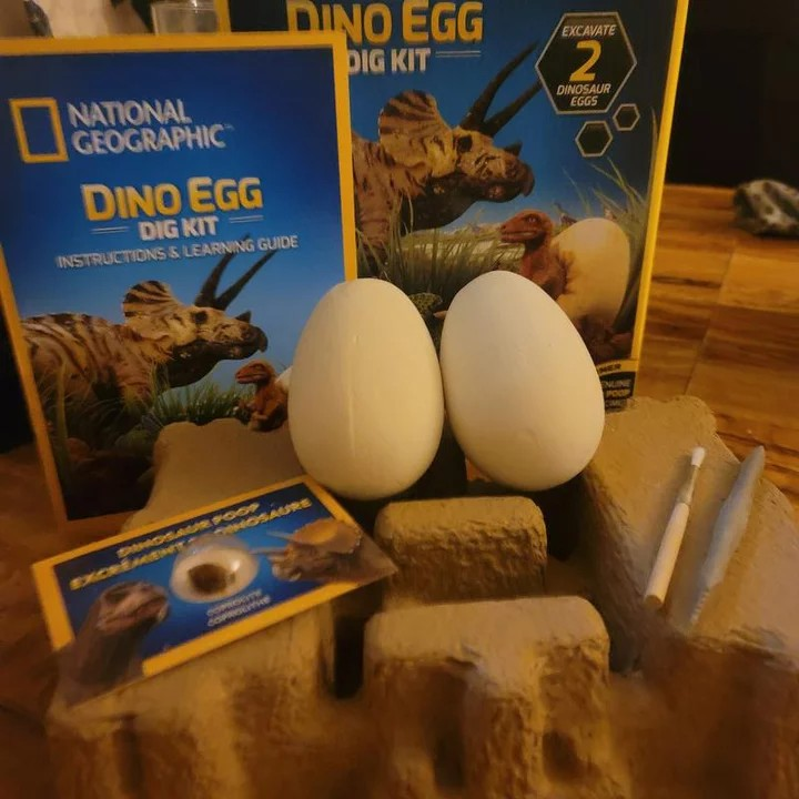 National Geographic Dino Egg Dig Kit