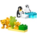 LEGO 10442 DUPLO Wild Animal Families Penguins N Lions