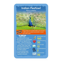 Top Trumps Birds of the World