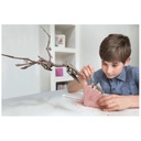 4M KidzLabs Dig a Dinosaur Pteranodon