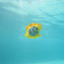 Swimways Rainbow Reef Zebra Fish