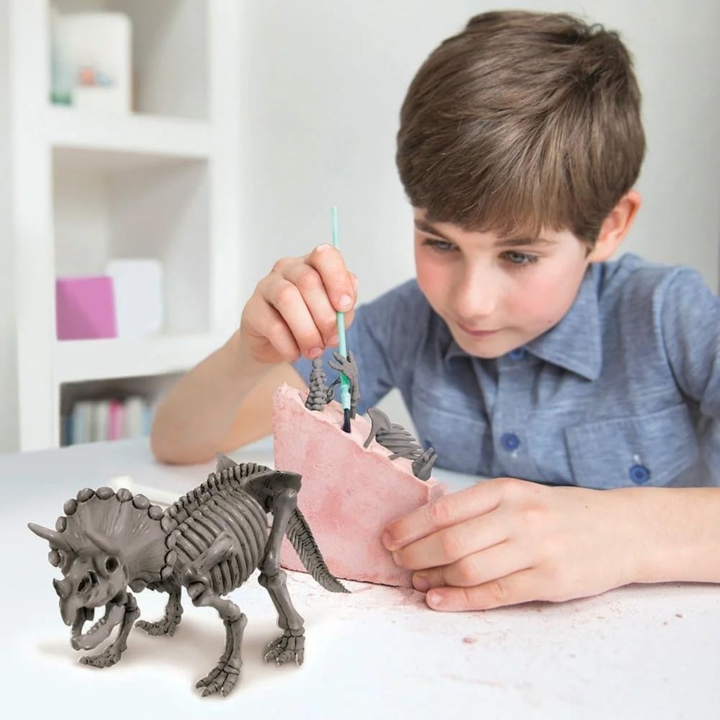 4M Dig A Dinosaur Skeleton Triceratops