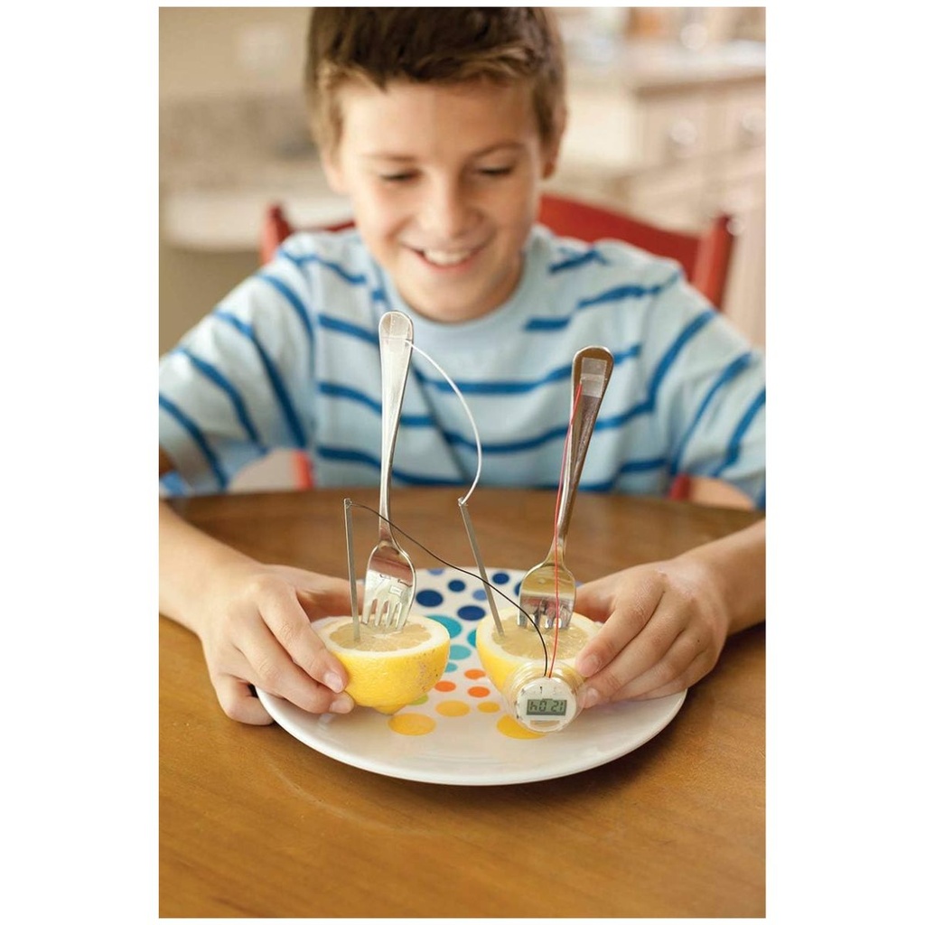 4M Lemon Clock Mini Science Experiment