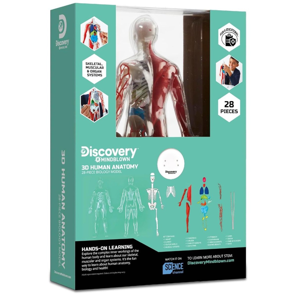 Discovery Mindblown 3D Human Anatomy Kit