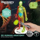 Discovery Mindblown 3D Human Anatomy Kit