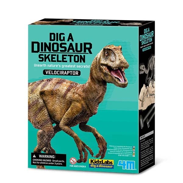 4M Dig a Dinosaur Skeleton Velociraptor