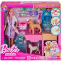 Barbie Career Pet Vet Playset
