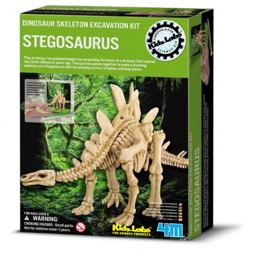 4M Dig a Dinosaur Skeleton Stegosaurus Kit