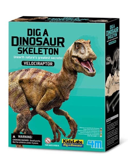 4M Dig a Dinosaur Skeleton Velociraptor