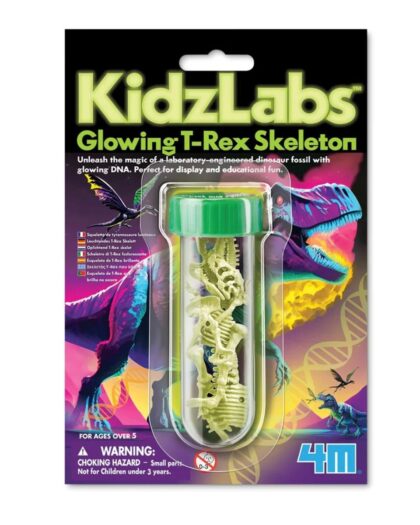 4M Kidzlabs Glowing T-rex Skeleton