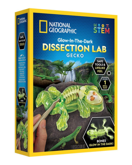 National Geographic Gecko Dissection Lab