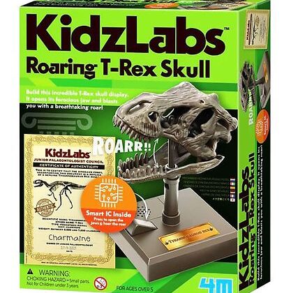 4M Kidzlabs Roaring Trex Skull