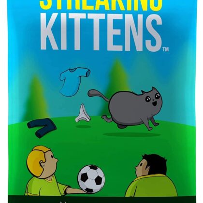 Streaking Kittens: This Is The Second Expansion of Exploding Kittens